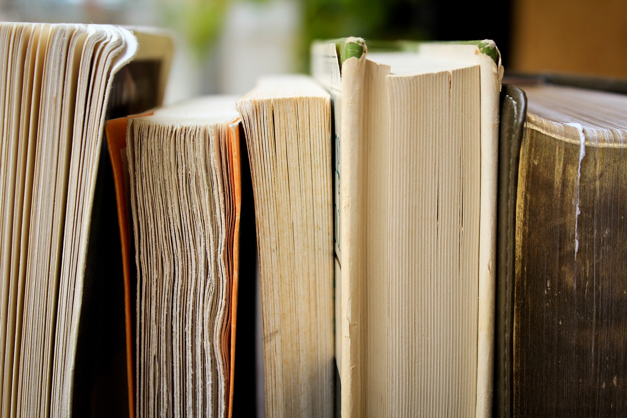 Meilleurs livres à lire sur l’entrepreneuriat pour se lancer et créer ...