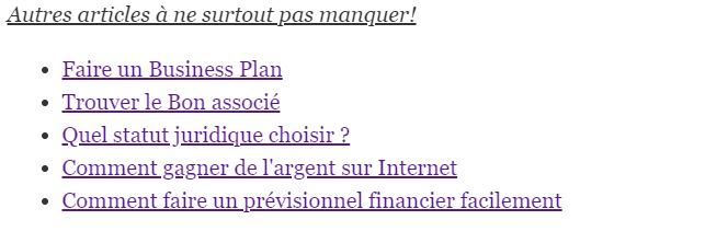 maillage-interne-conseil-seo